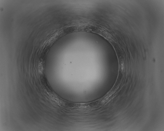 X0000077341204200611031747