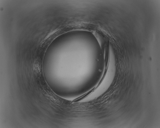 X0000077341206200611031747