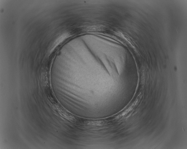 X0000077341211200611031747