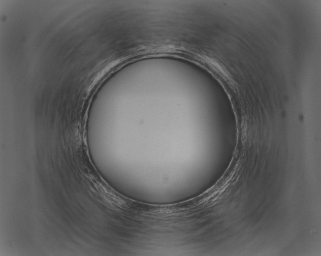 X0000077341212200611031747