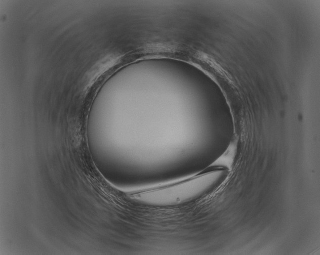 X0000077341213200611031747