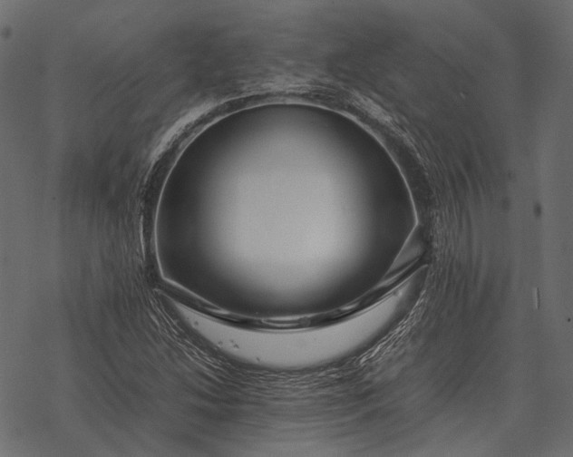 X0000077341214200611031747