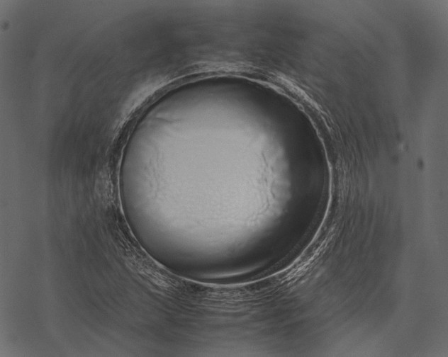 X0000077341215200611031747