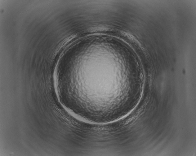 X0000077341217200611031747