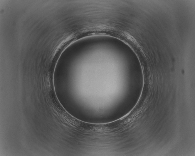 X0000077341218200611031747