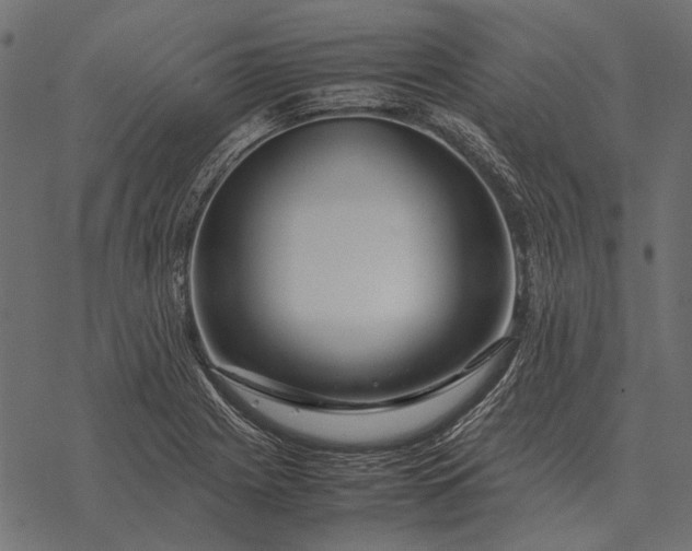 X0000077341225200611031747