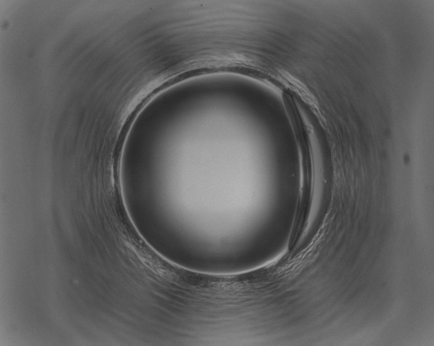 X0000077341226200611031747