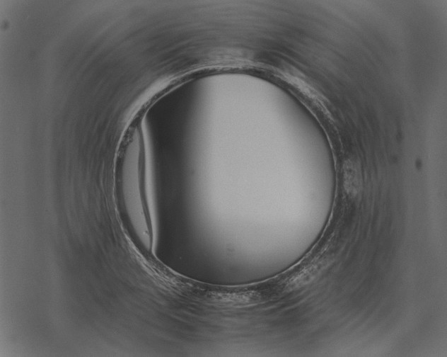 X0000077341229200611031747