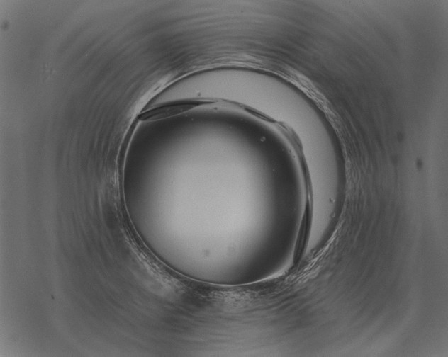 X0000077341234200611031747