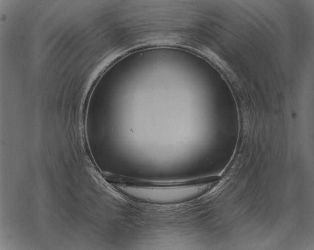X0000077341240200611031747