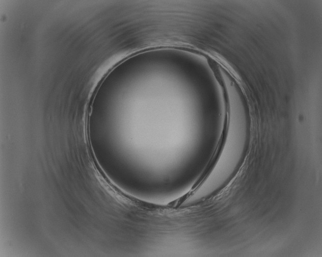 X0000077341246200611031747