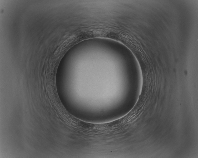 X0000077341249200611031747