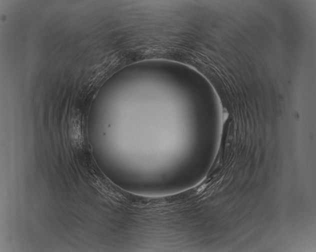 X0000077341250200611031747