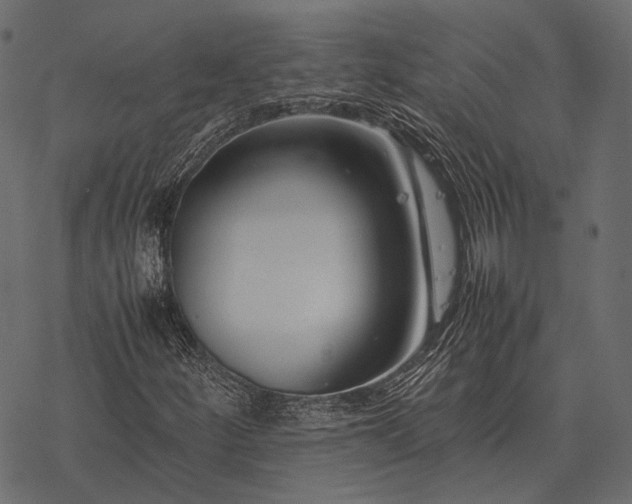 X0000077341252200611031747