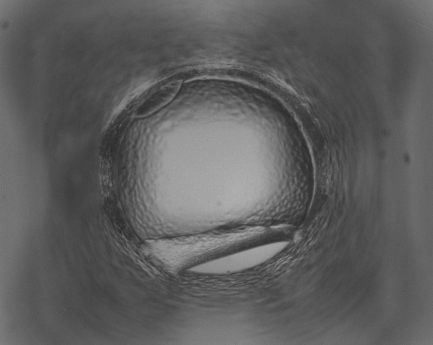 X0000077341255200611031747