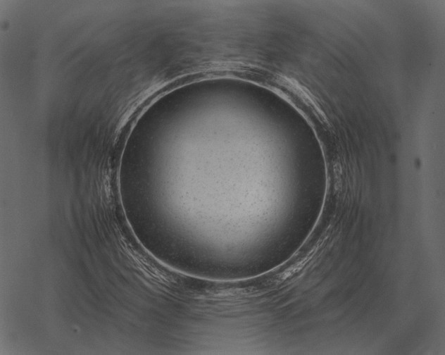 X0000077341260200611031747