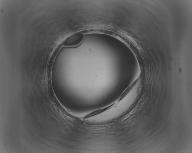 X0000077341264200611031746