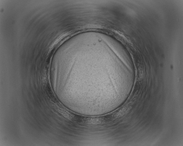 X0000077341266200611031746