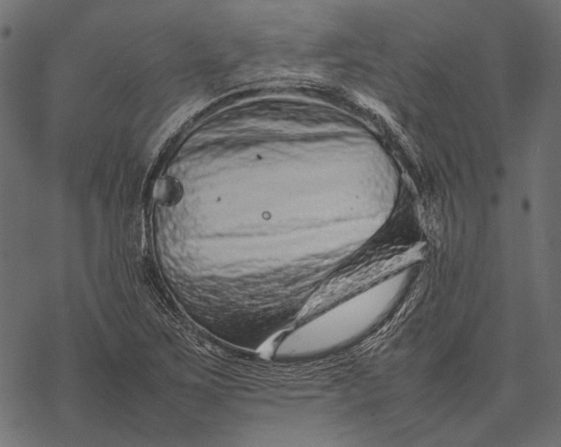 X0000077341267200611031746