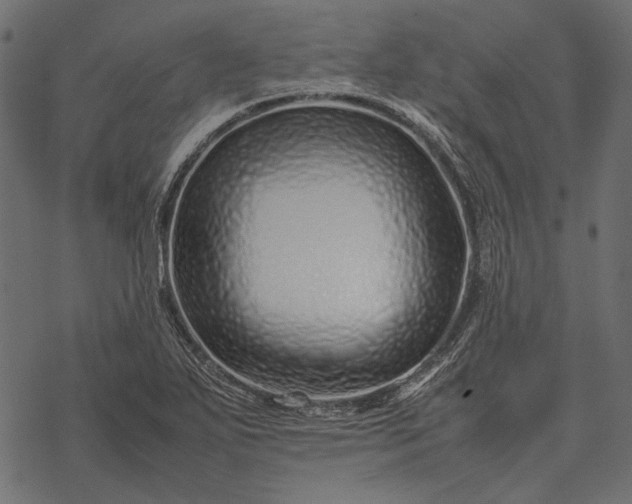 X0000077341271200611031746