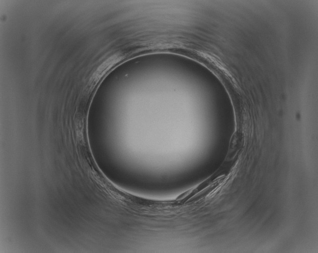 X0000077341273200611031746