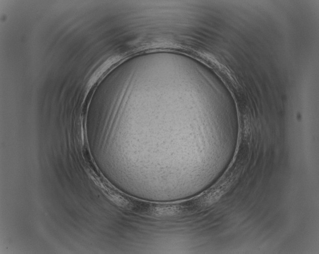 X0000077341274200611031746