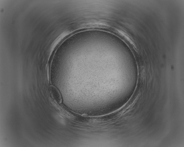X0000077341275200611031746