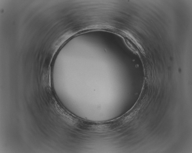 X0000077341276200611031746