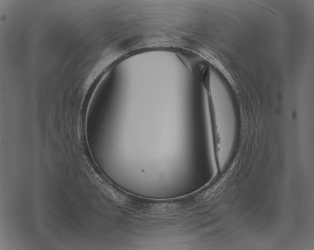 X0000077341277200611031746
