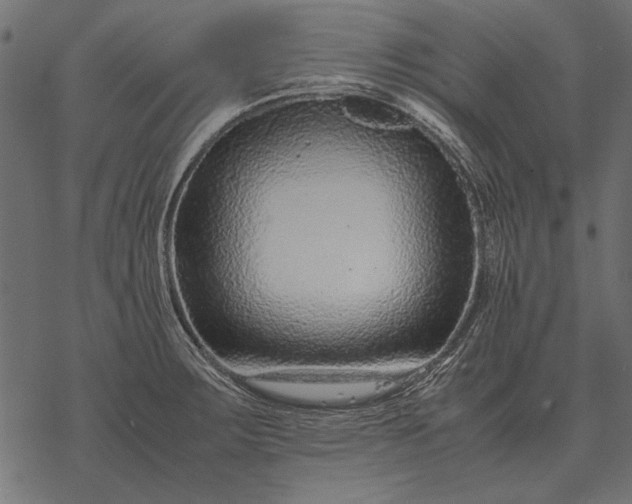 X0000077341283200611031746