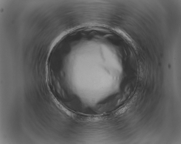 X0000077341286200611031746