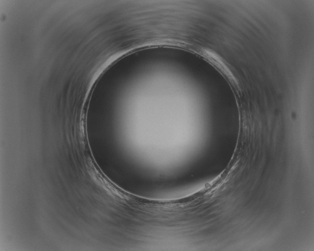 X0000077341292200611031746
