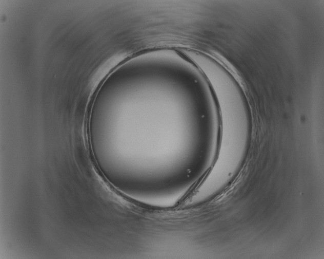X0000077341293200611031746