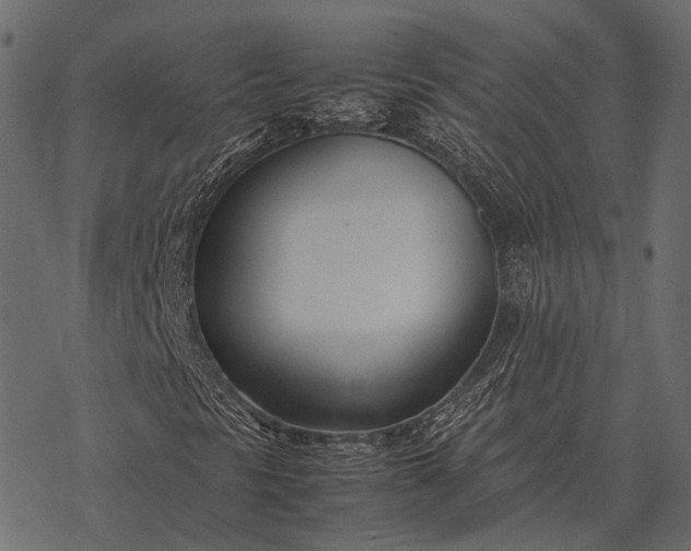 X0000077341297200611031745