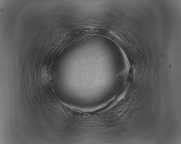 X0000077341298200611031745