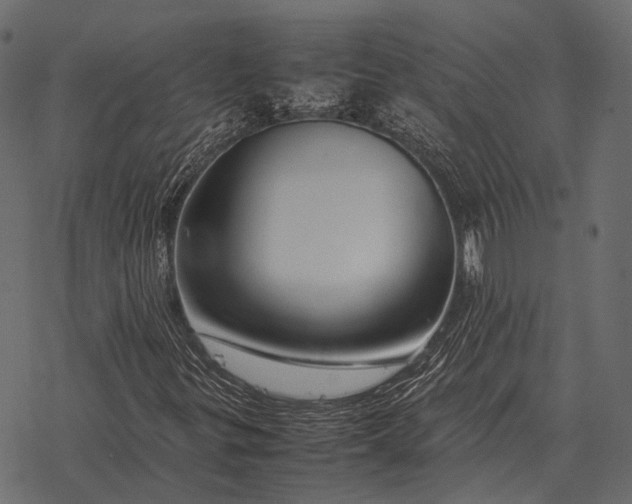 X0000077341299200611031745