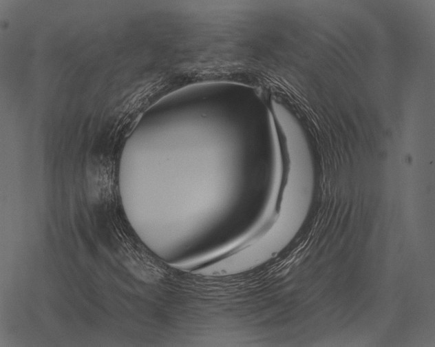 X0000077341300200611031745