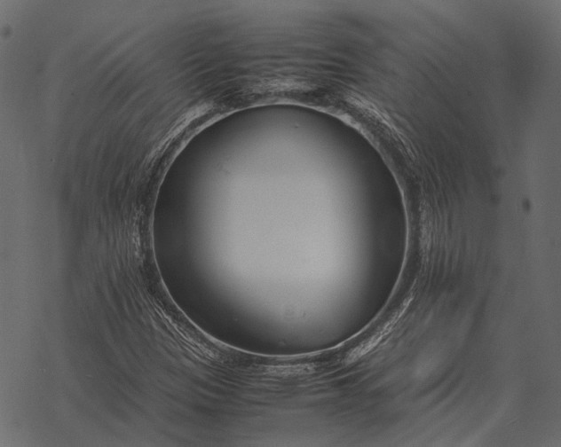 X0000077341305200611031745