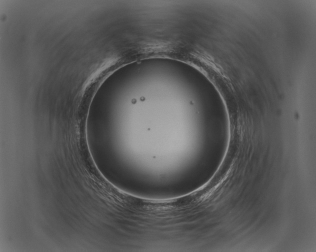 X0000077341309200611031745