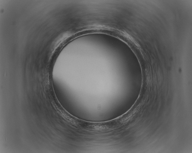 X0000077341318200611031746