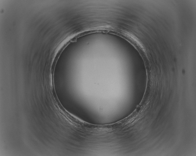 X0000077341324200611031746