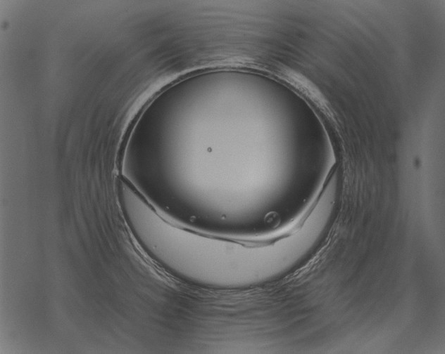 X0000077341332200611031746