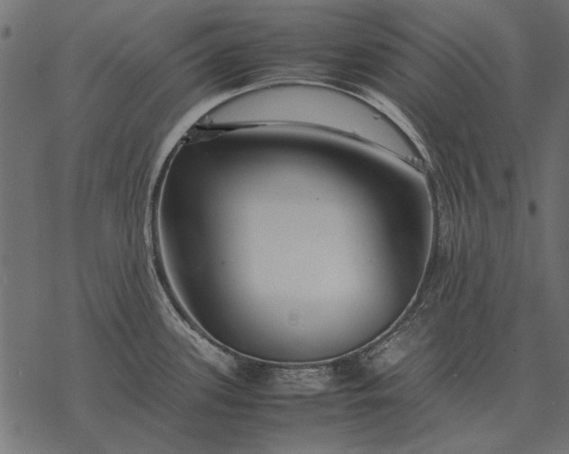 X0000077341339200611031746