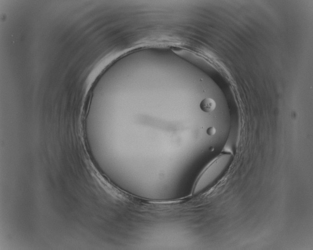 X0000077341344200611031746