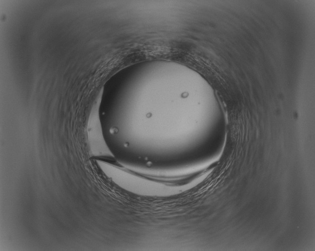 X0000077341345200611031745