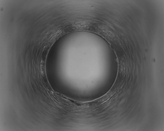 X0000077341346200611031745