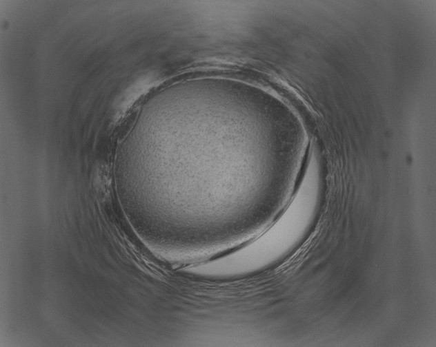 X0000077341355200611031745