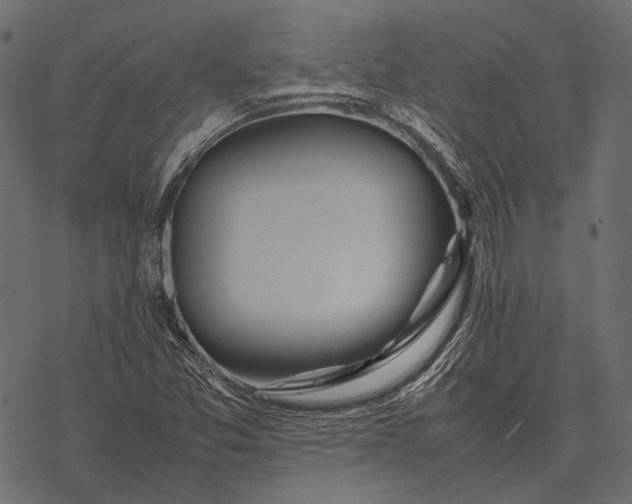 X0000077341357200611031745