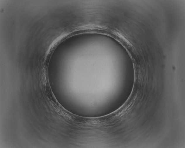 X0000077341358200611031745