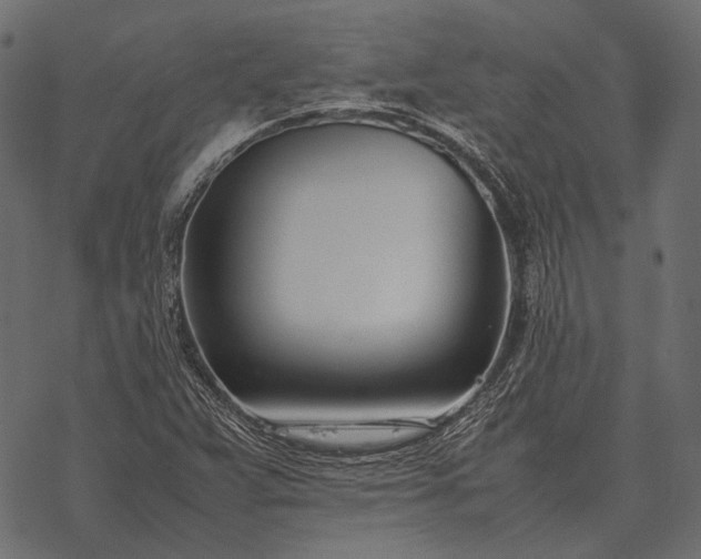 X0000077341359200611031745